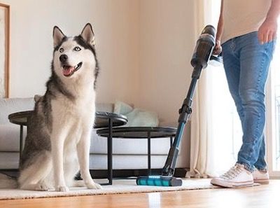 Conga Rockstar 2700 Advance mascotas