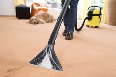 Karcher SE 4002 perro